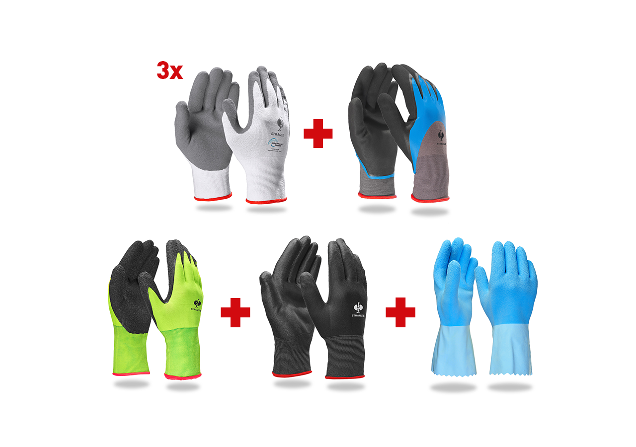 Sets | Accessories: Professional glove set sanitary II