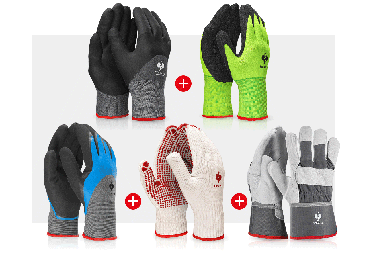 Sets | Accessories: Professional glove set garden II