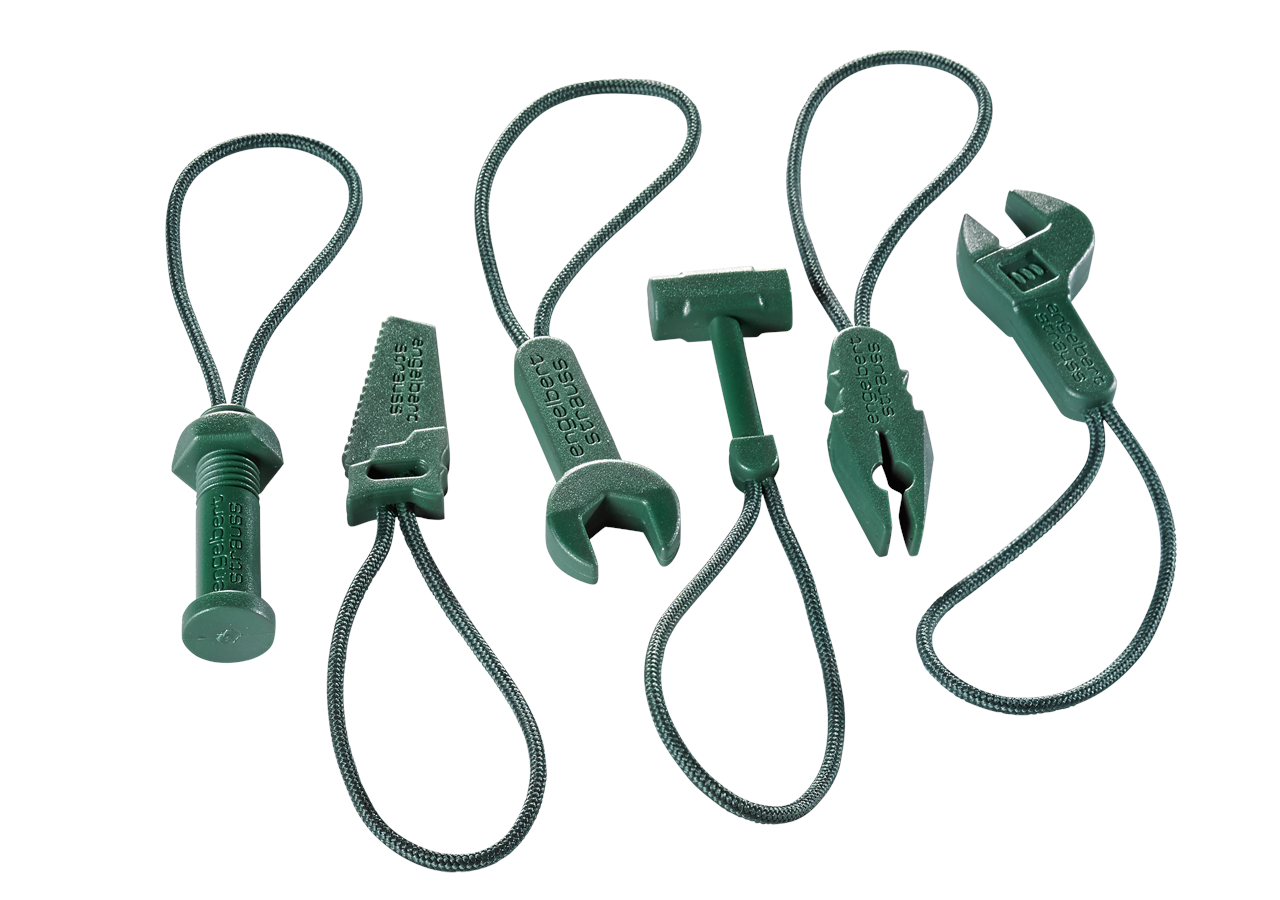 Accessories: Zip puller set e.s.motion 2020 + green