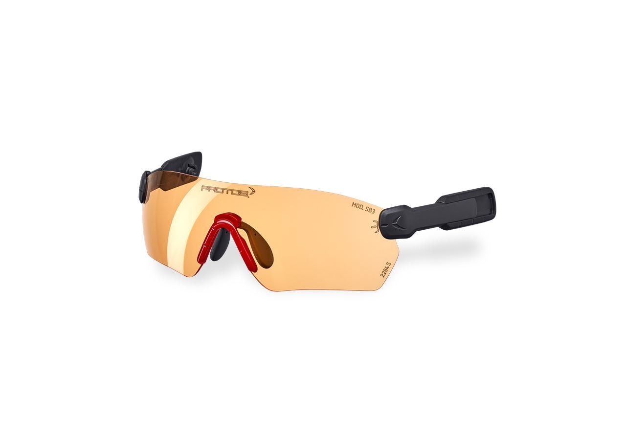 Accessories: e.s. Safety glasses  Protos® Integral + orange