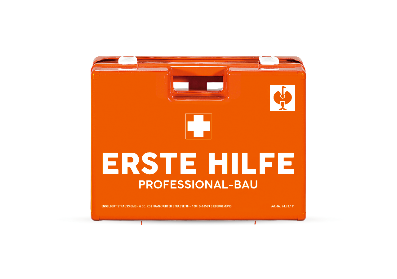 Koffer | Schränke: Erste-Hilfe-Koffer Professional
