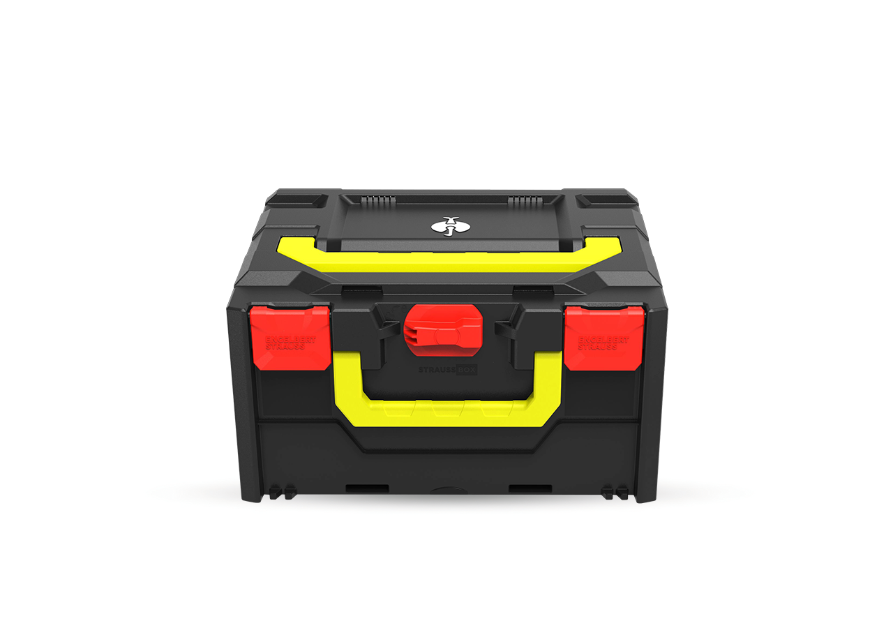STRAUSSbox System: STRAUSSbox 215 midi Color + feuerrot