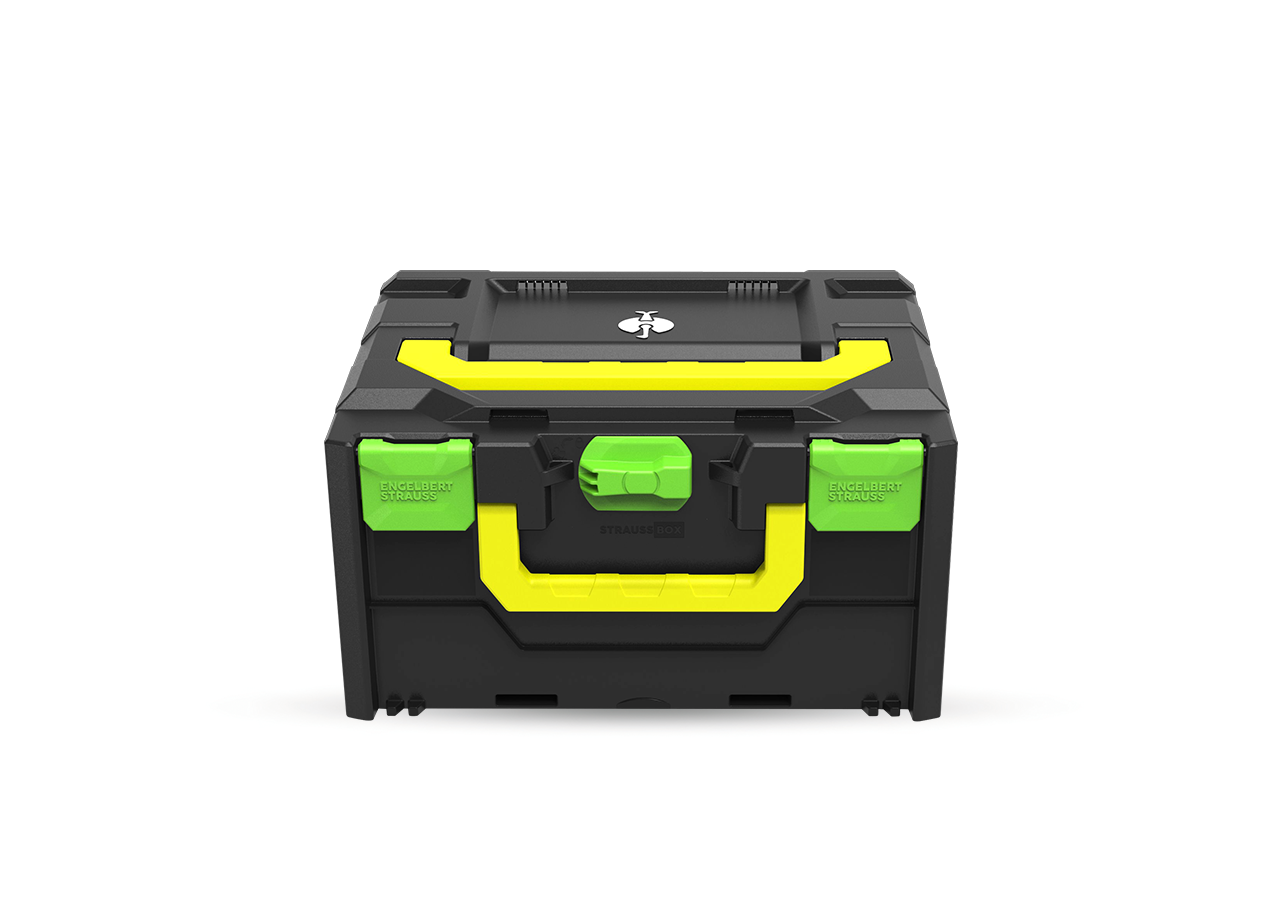 STRAUSSbox System: STRAUSSbox 215 midi Color + seegrün