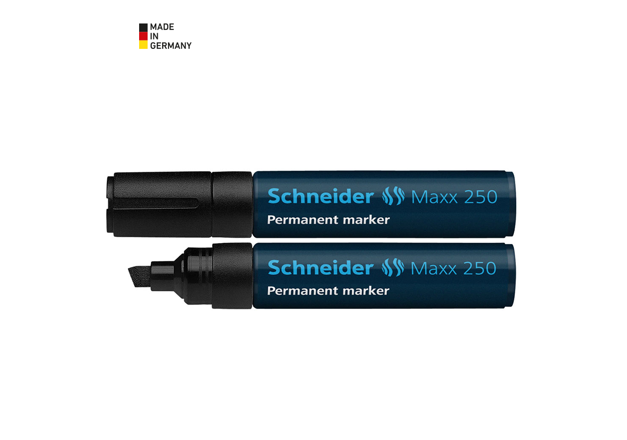 Writing | Correcting: Permanent Marker Schneider 250 + black