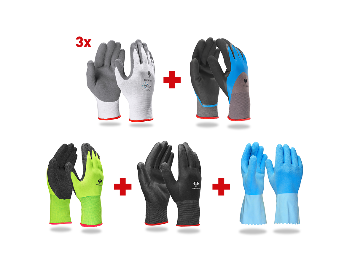 Sets | Accessories: Professional glove set sanitary II