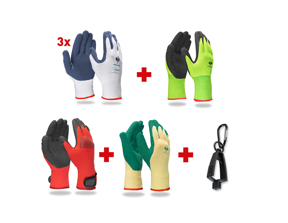 Sets | Accessories: Professional glove set latex II