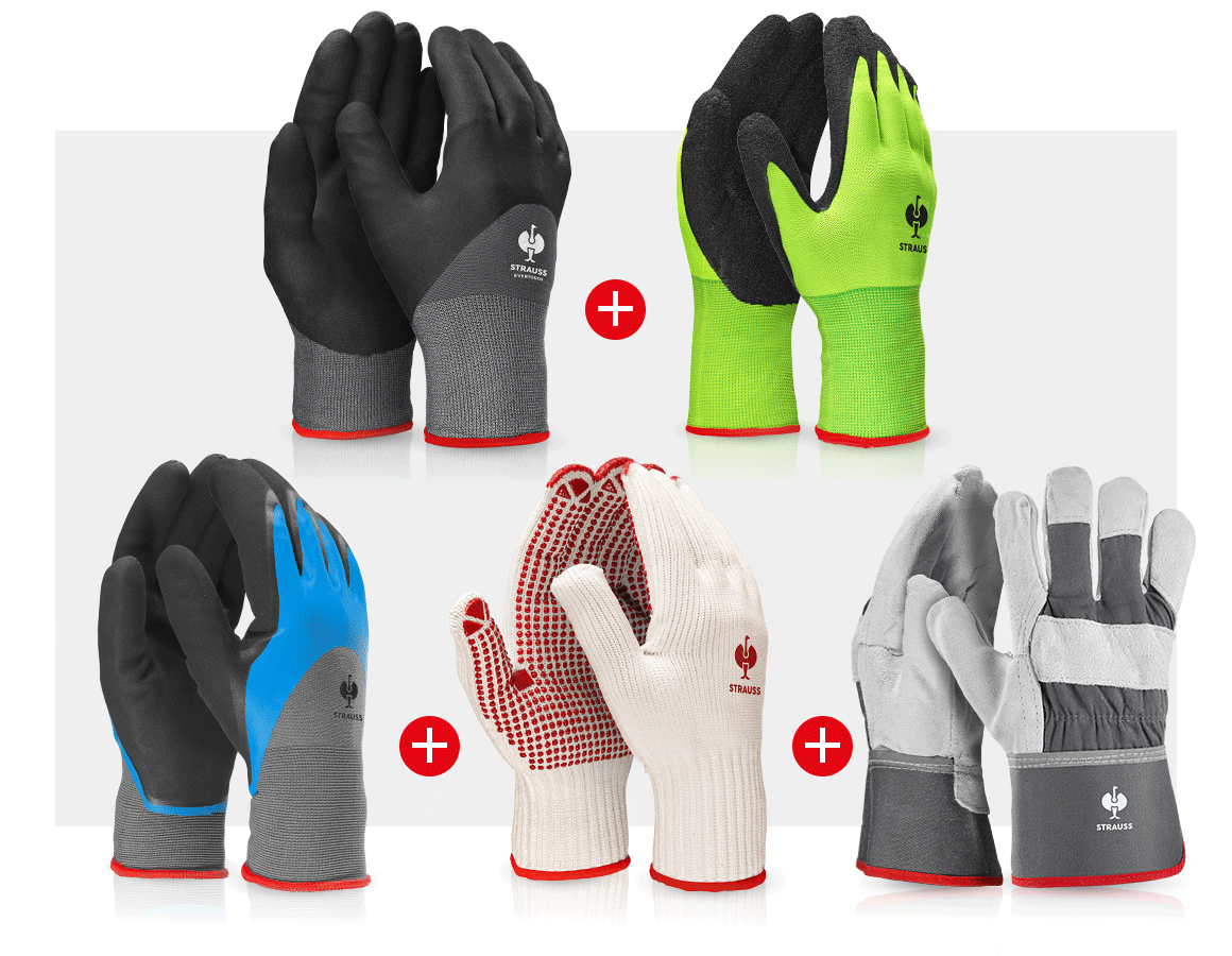 Sets | Accessories: Professional glove set garden II