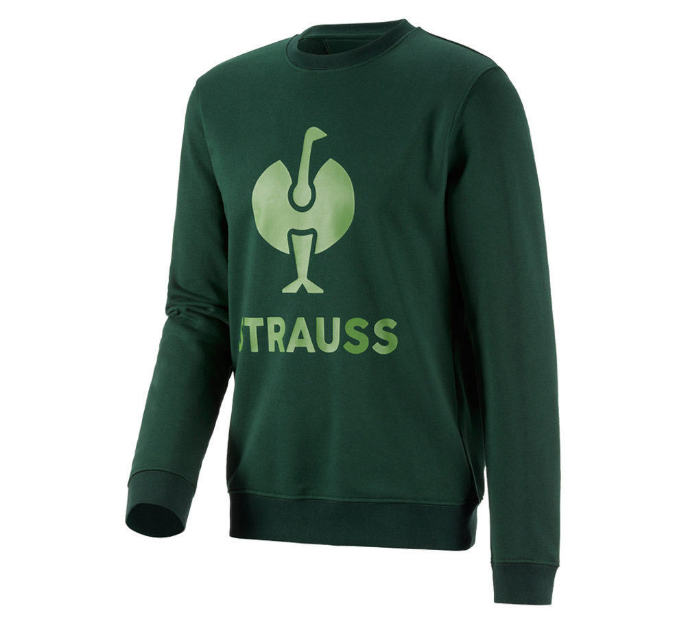 Shirts & Co.: Sweatshirt e.s.motion 2020 + grün/seegrün