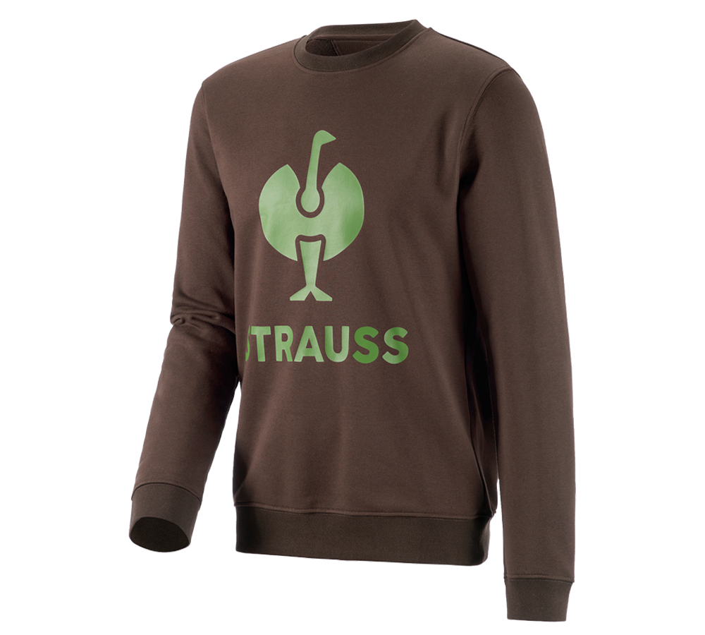 Shirts, Pullover & more: Sweatshirt e.s.motion 2020 + chestnut/seagreen