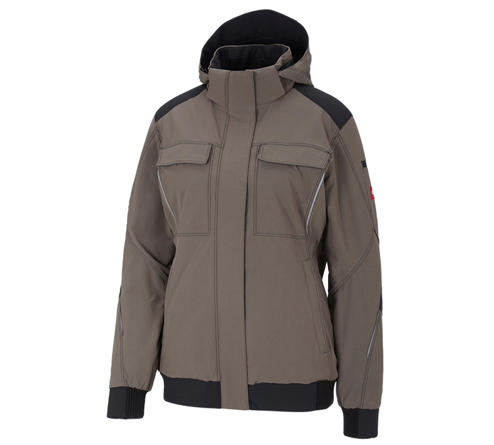 Gardening / Forestry / Farming: Winter functional jacket e.s.dynashield, ladies' + stone/black
