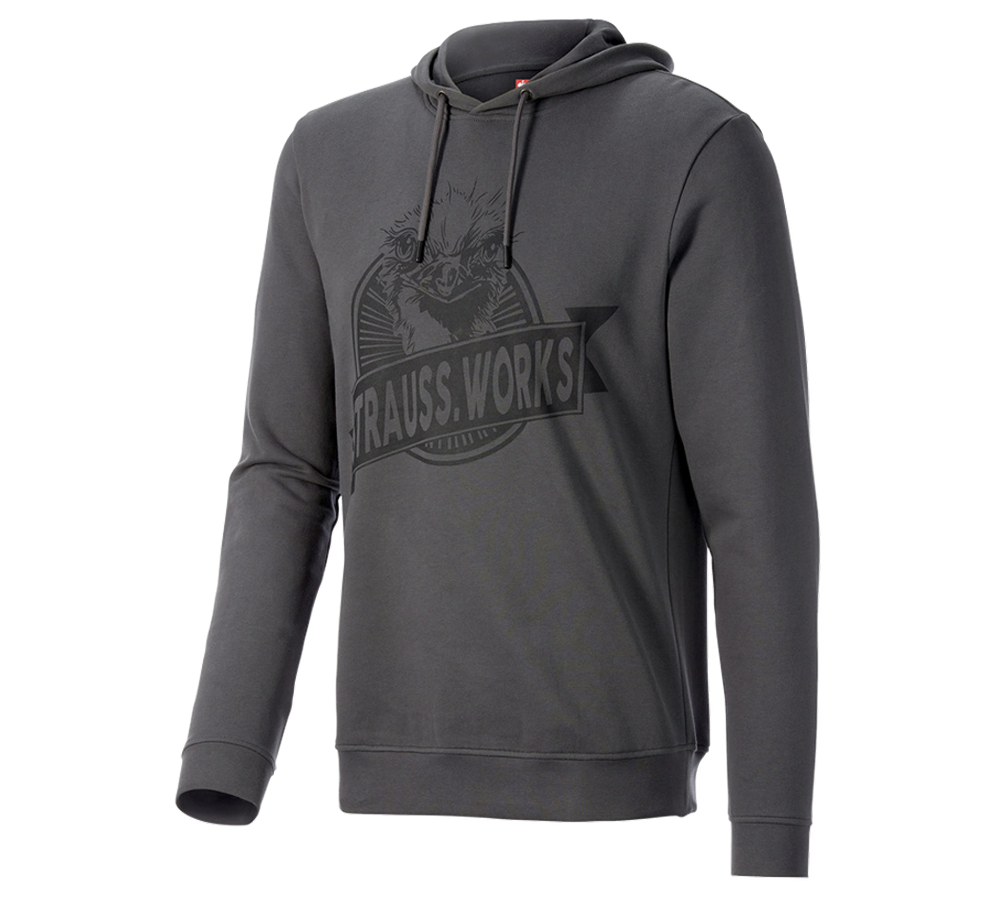 Vêtements: Hoody sweatshirt e.s.iconic works + gris carbone