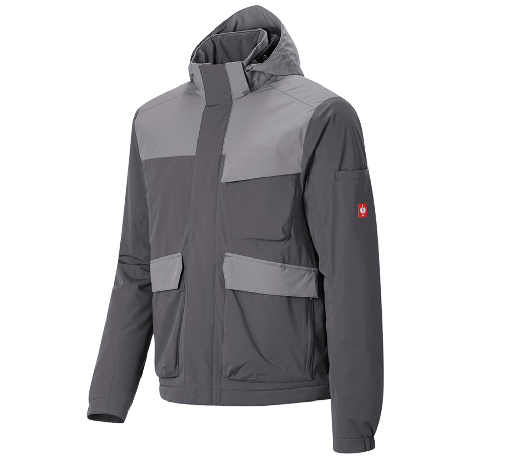 Vêtements: Veste d'hiver e.s.trail pure + gris carbone/gris basalte