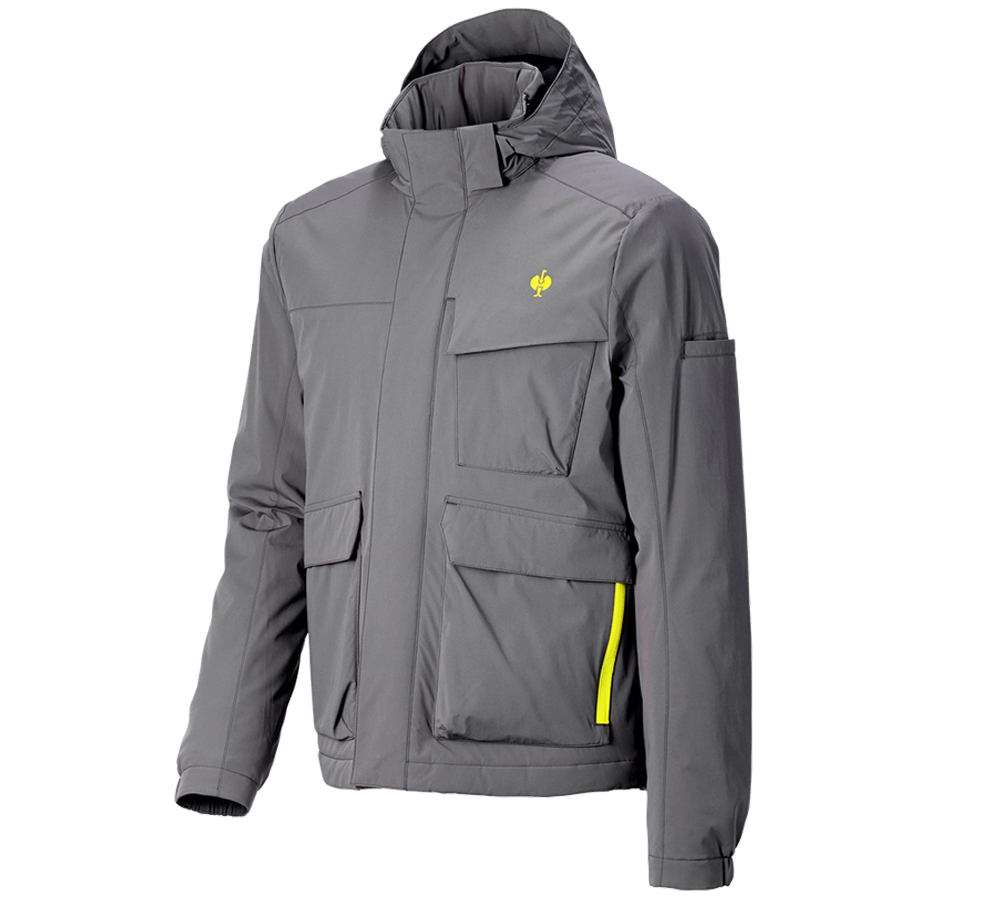 Vêtements: Veste d'hiver e.s.trail + gris basalte/jaune acide