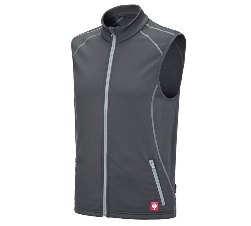 Menuisiers: Gilet thermo stretch e.s.motion 2020 + anthracite/platine