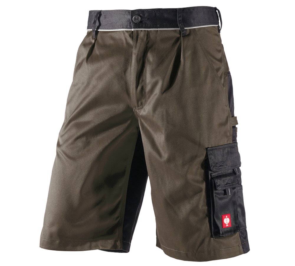 Pantalons de travail: Short e.s.image + olive/noir