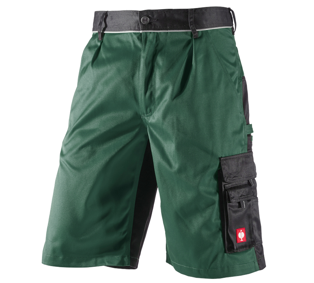 Pantalons de travail: Short e.s.image + vert/noir