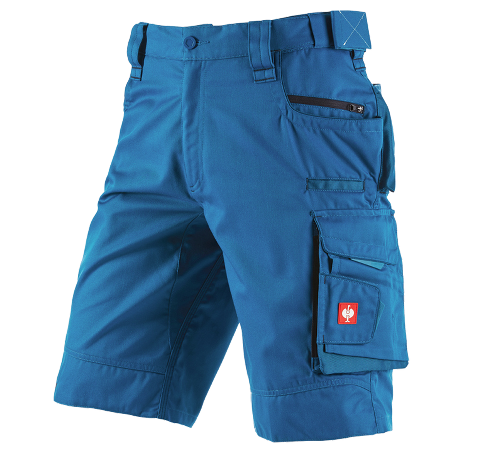 Work Trousers: Shorts e.s.motion 2020 + atoll/navy