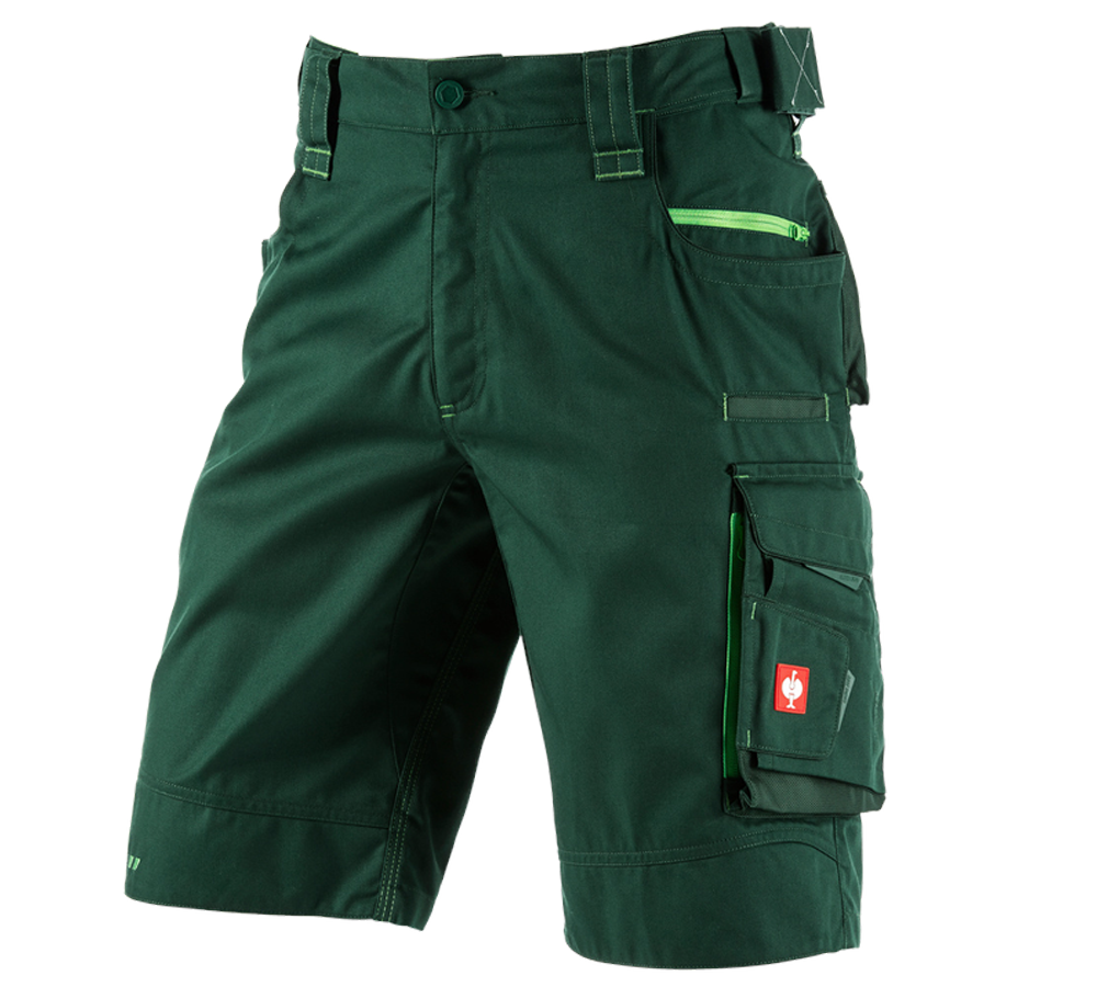 Work Trousers: Shorts e.s.motion 2020 + green/seagreen