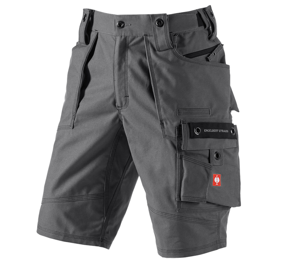 Work Trousers: Shorts e.s.roughtough + titanium