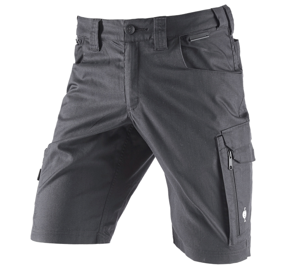 Work Trousers: Shorts e.s.concrete light + anthracite
