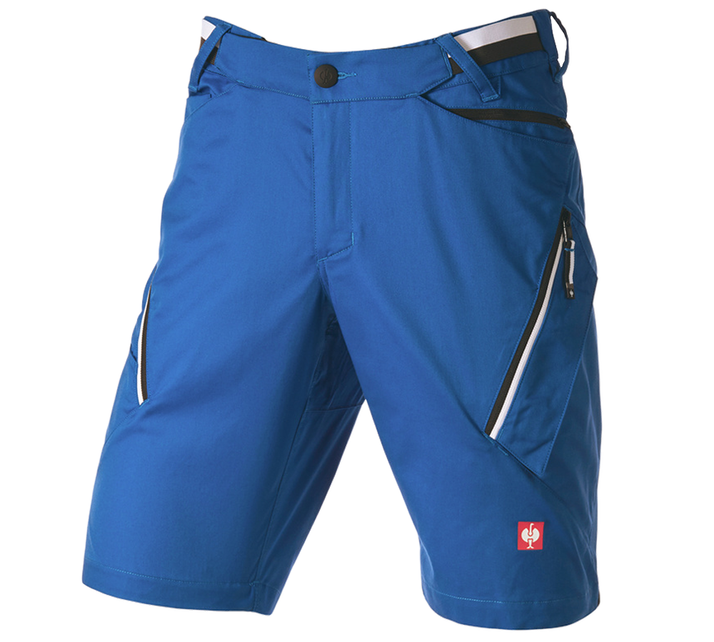 Pantalons de travail: Short à poches multiples e.s.ambition + bleu gentiane/graphite
