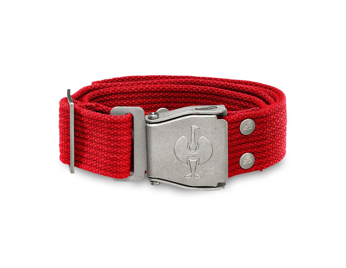 Accessories: Belt e.s.motion + red