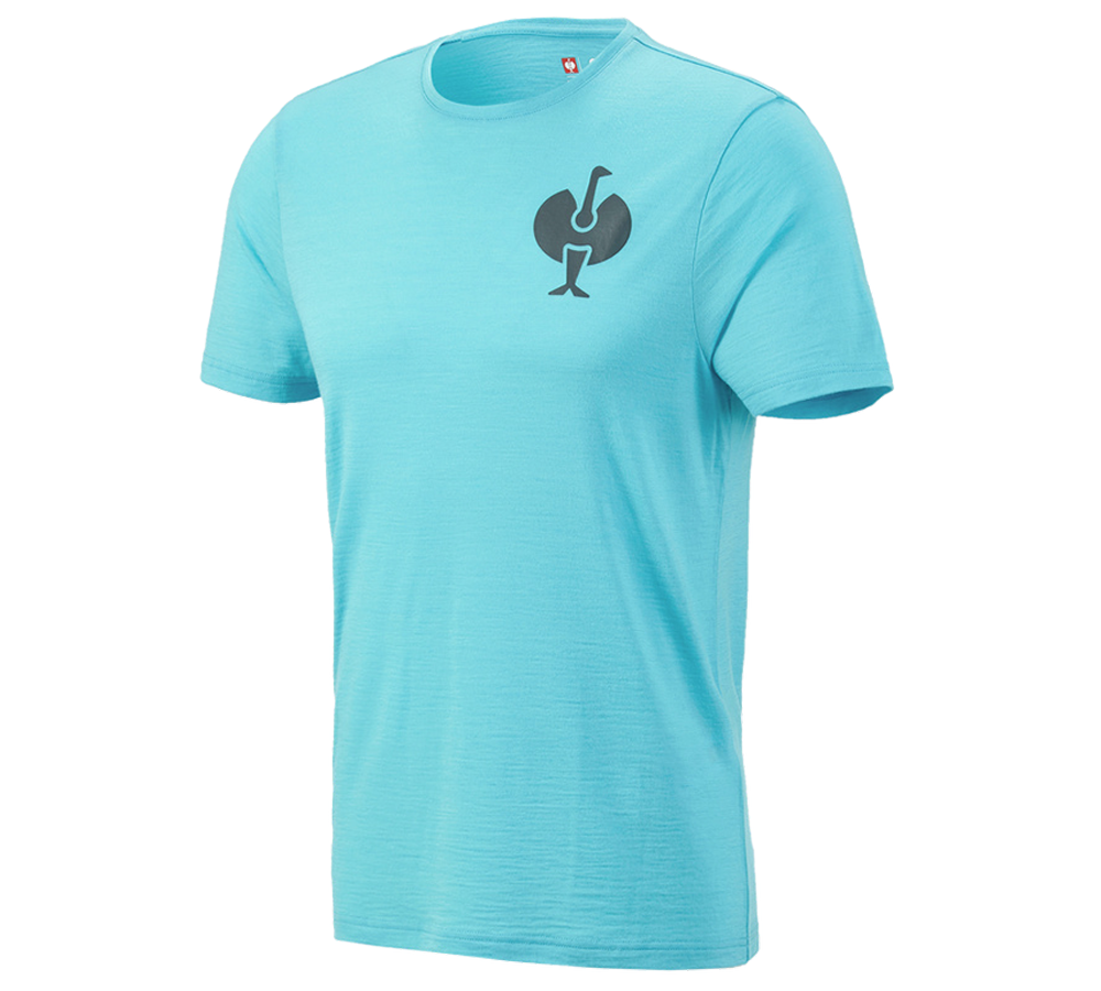 Clothing: T-Shirt Merino e.s.trail + lapisturquoise/anthracite