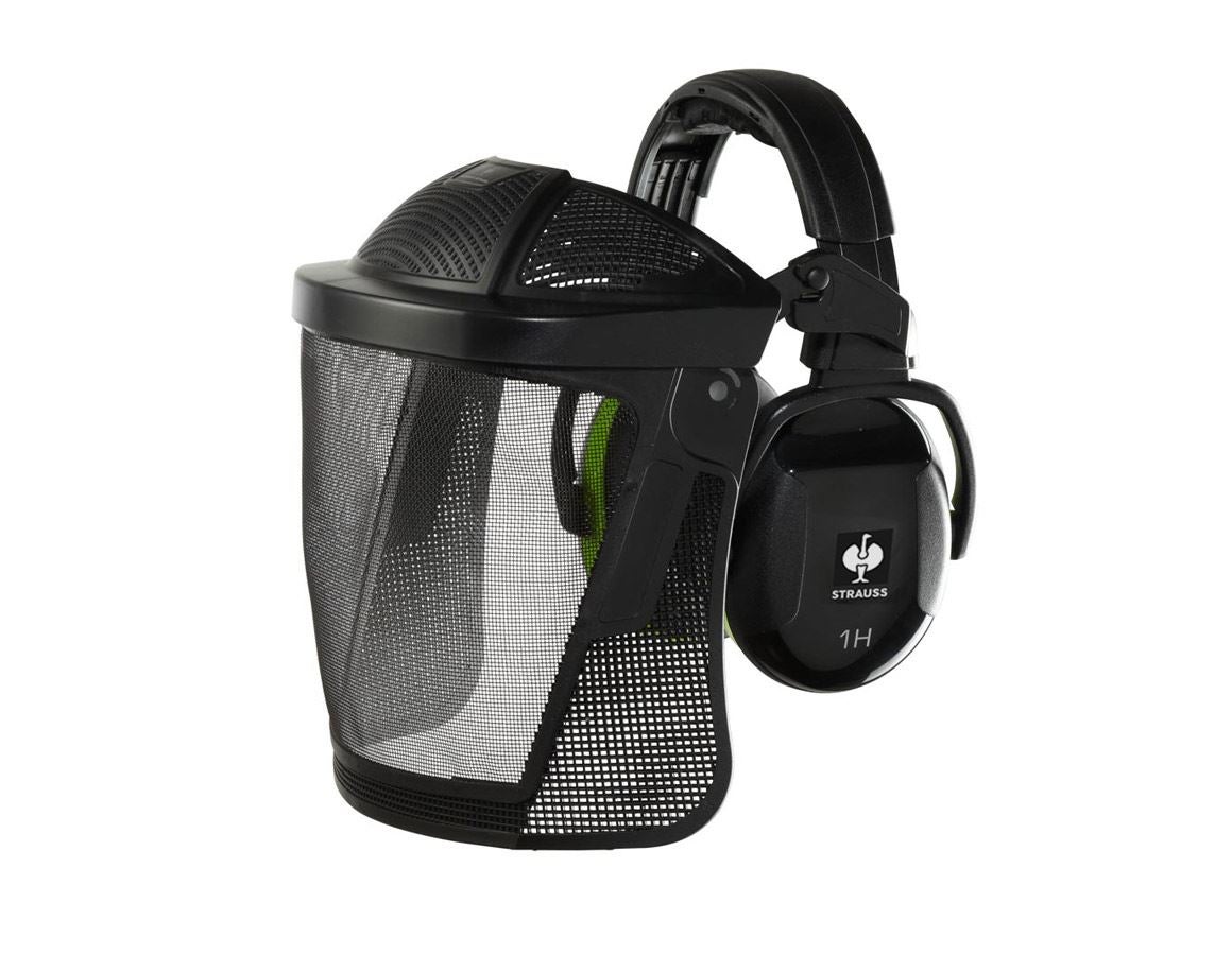 Ear Defenders: e.s. Facial protector and protector cups combi