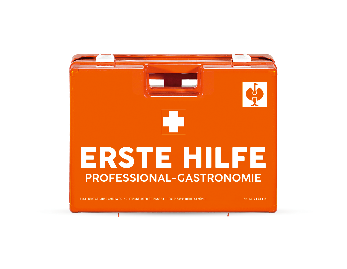 Koffer | Schränke: Erste-Hilfe-Koffer Professional