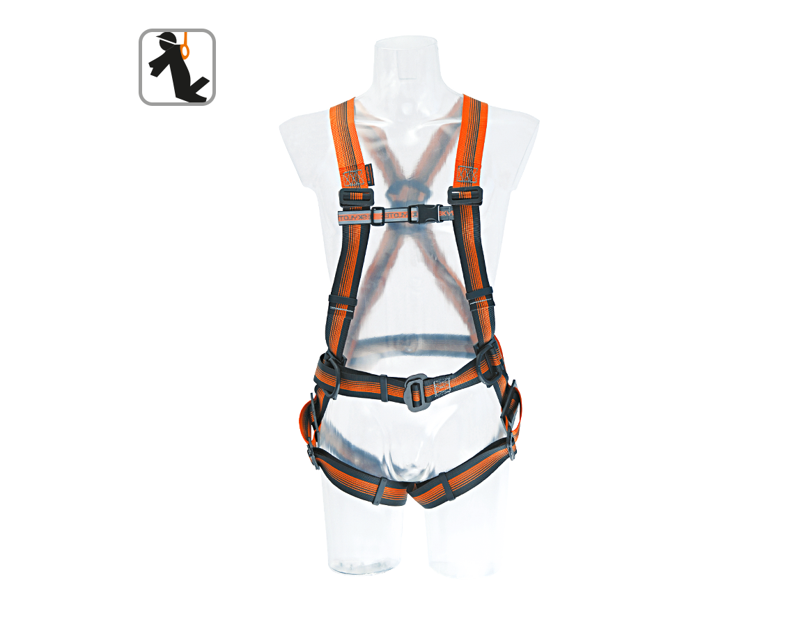 Fall Prevention: Skylotec Safety harness Standard