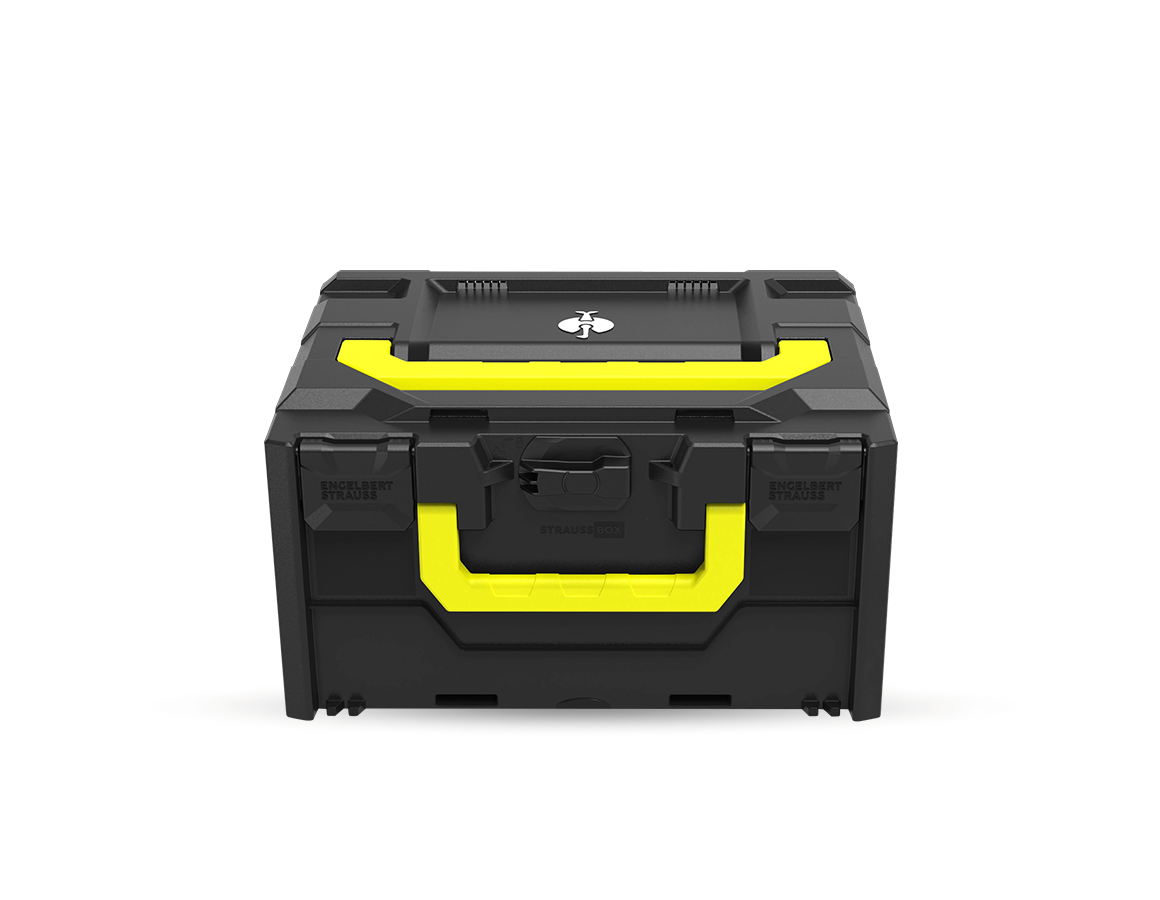 STRAUSSbox System: STRAUSSbox 215 midi Color + black