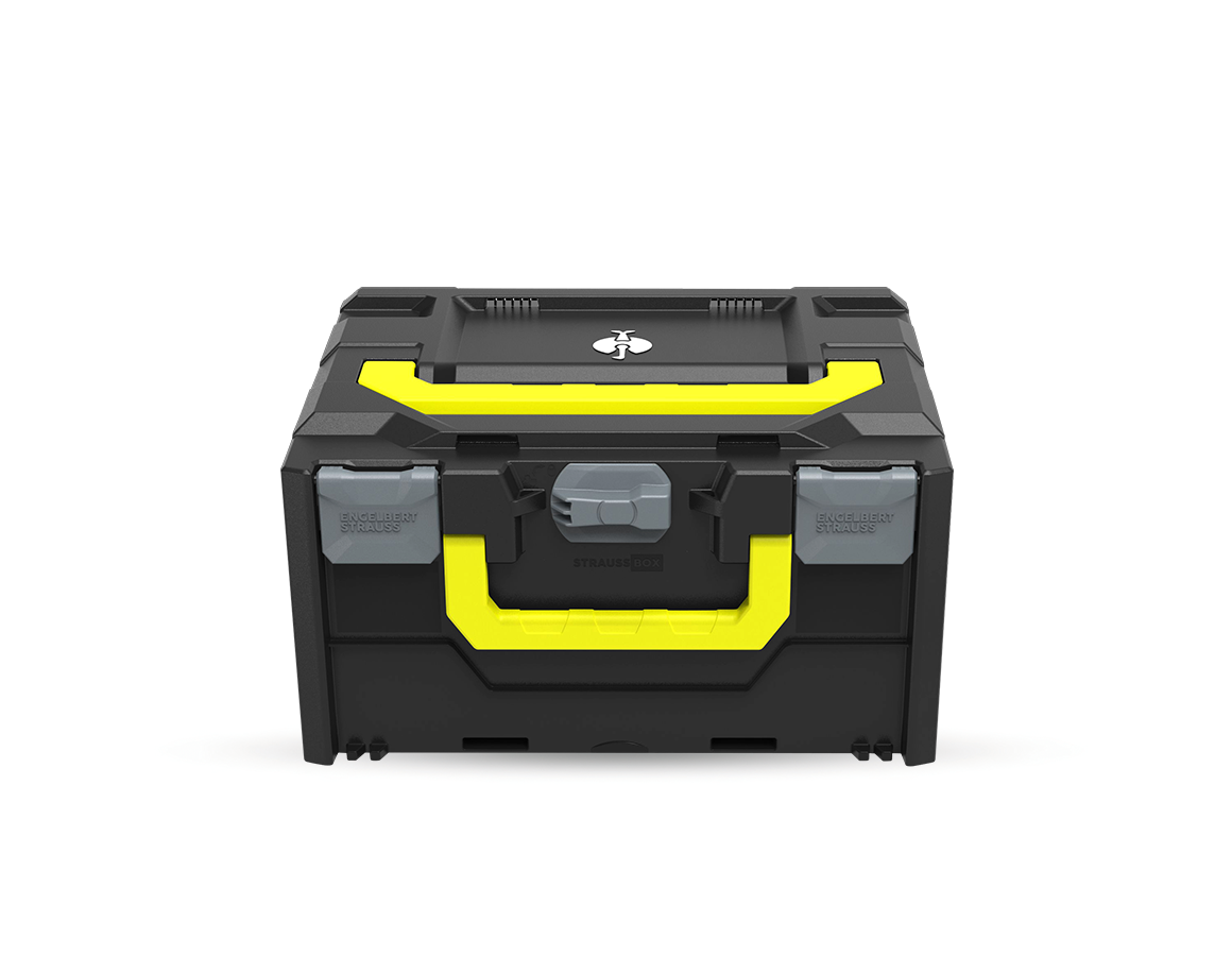 STRAUSSbox System: STRAUSSbox 215 midi Color + anthrazit