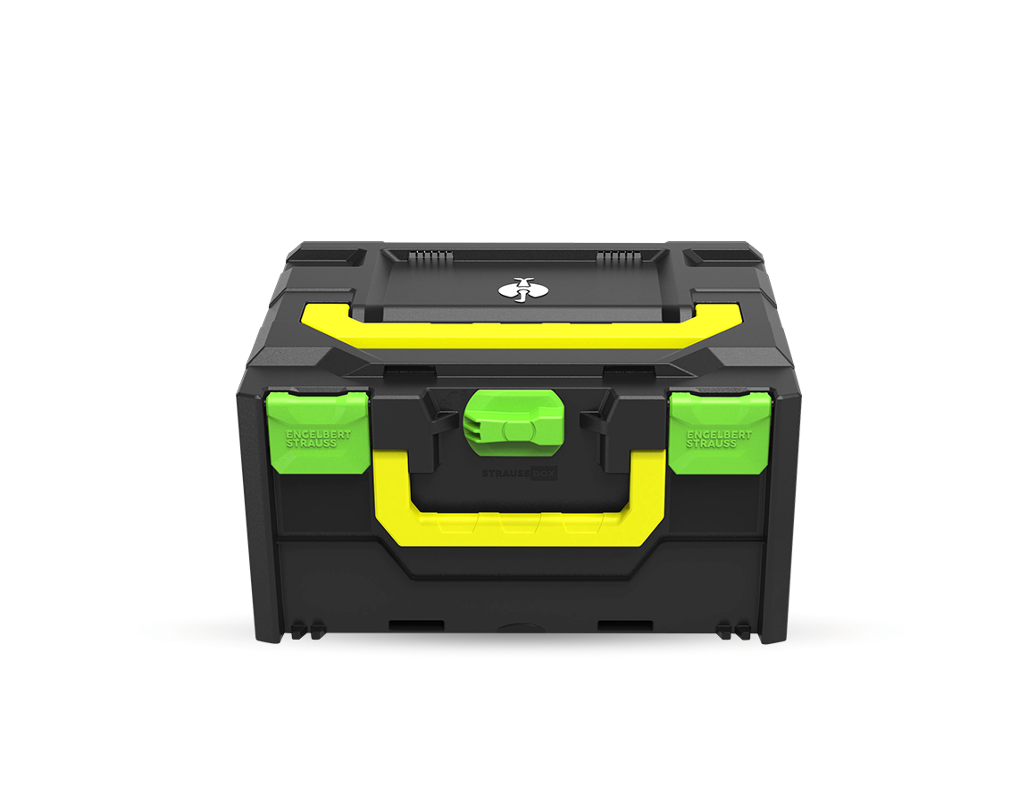 STRAUSSbox System: STRAUSSbox 215 midi Color + seagreen