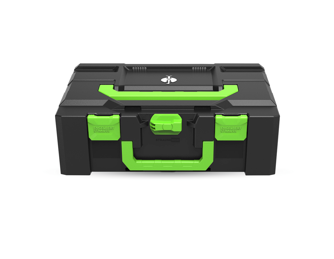 STRAUSSbox System: STRAUSSbox 165 large Color + seegrün