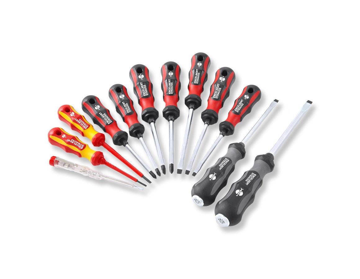 Screwdrivers: Workshop screwdriver set Professional