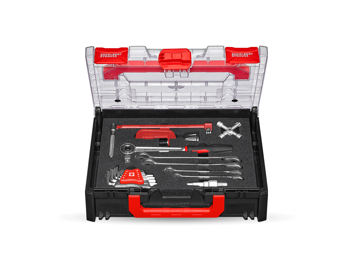 Outils: Jeu d'outils STRAUSSbox 118 sanitaire