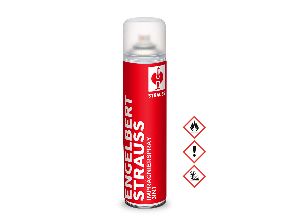 Shoe Care Products: e.s. Impregnation spray 3 in 1