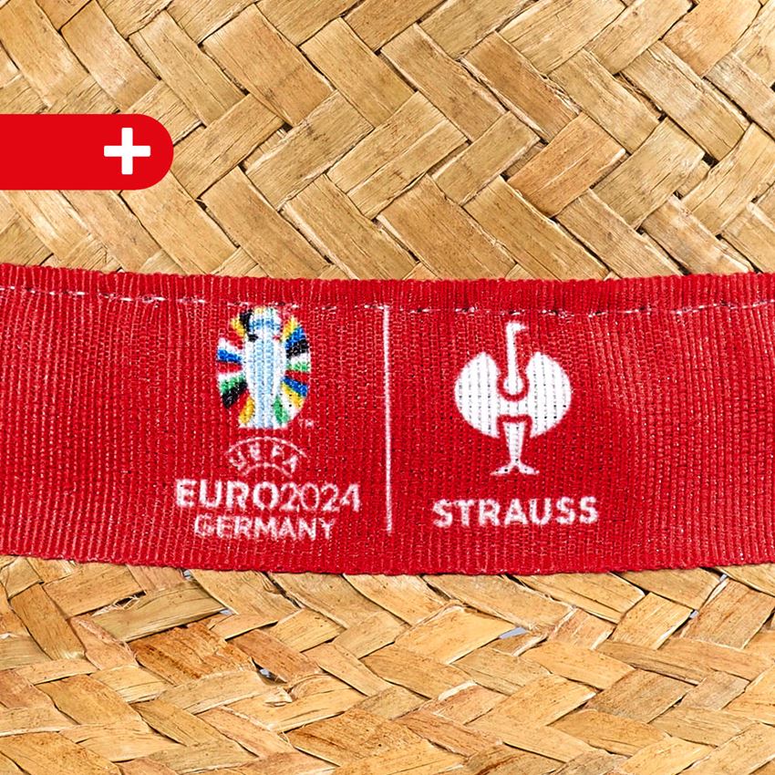 Collaborations: 3x100 Disposable latex gloves + EURO2024 Hat + nature 2