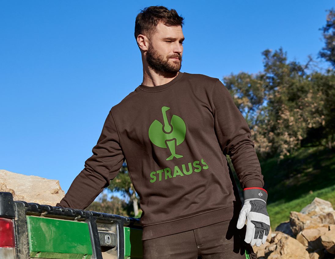 Shirts, Pullover & more: Sweatshirt e.s.motion 2020 + chestnut/seagreen