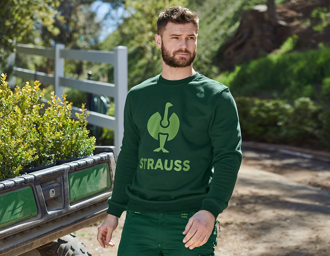 Shirts & Co.: Sweatshirt e.s.motion 2020 + grün/seegrün