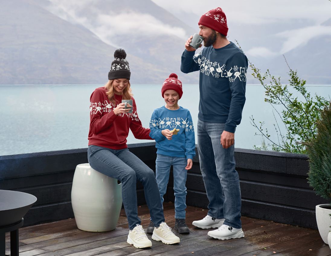 Gift Idea: e.s. Norwegian sweatshirt + shadowblue 1