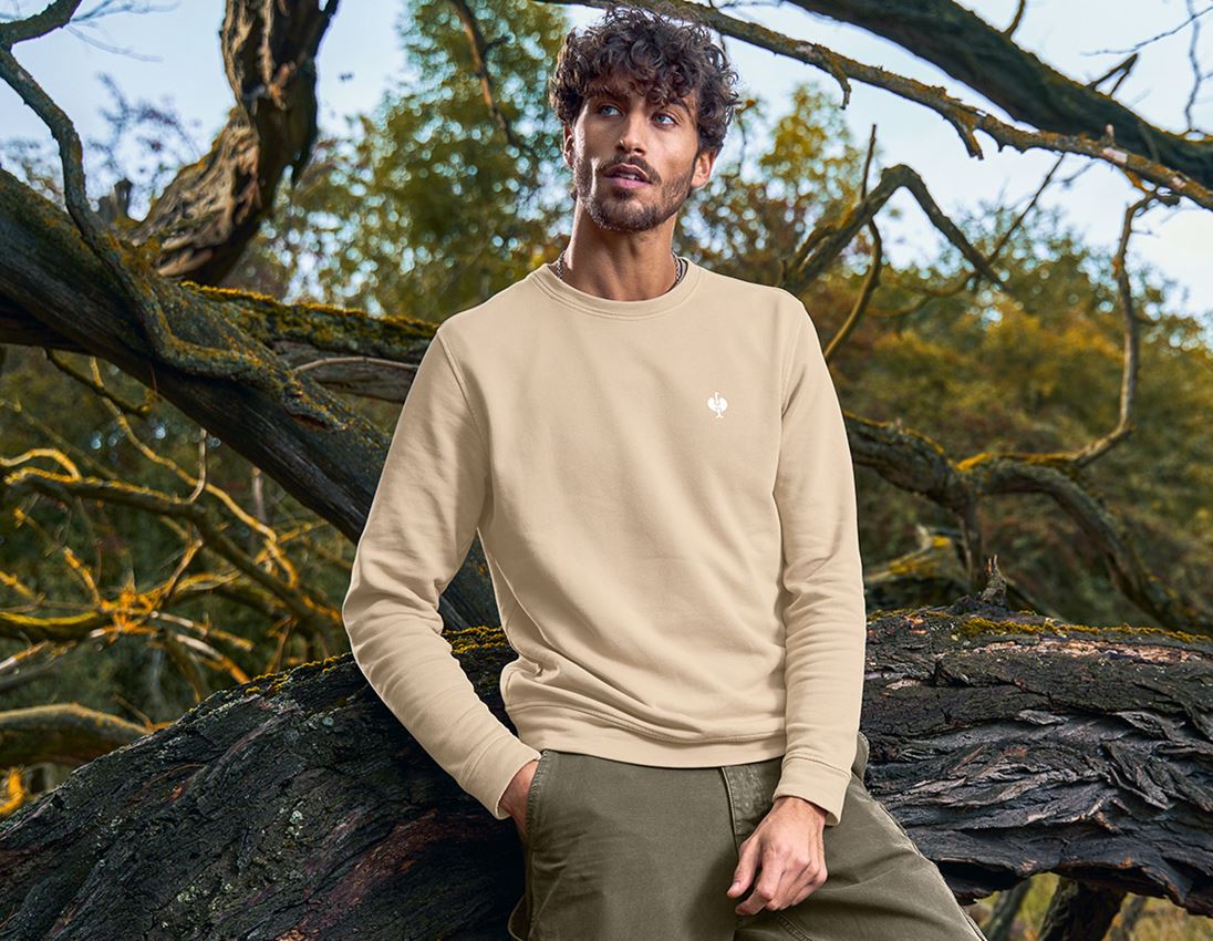 Shirts & Co.: Sweatshirt e.s.botanica + naturhellbeige