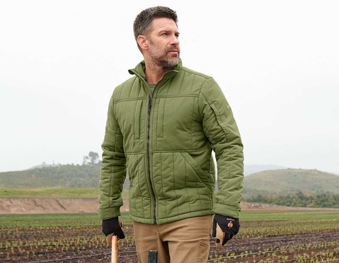 Topics: All-season jacket e.s.iconic + mountaingreen