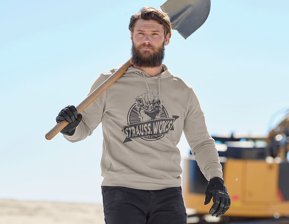 Shirts, Pullover & more: Hoody sweatshirt e.s.iconic works + dolphingrey