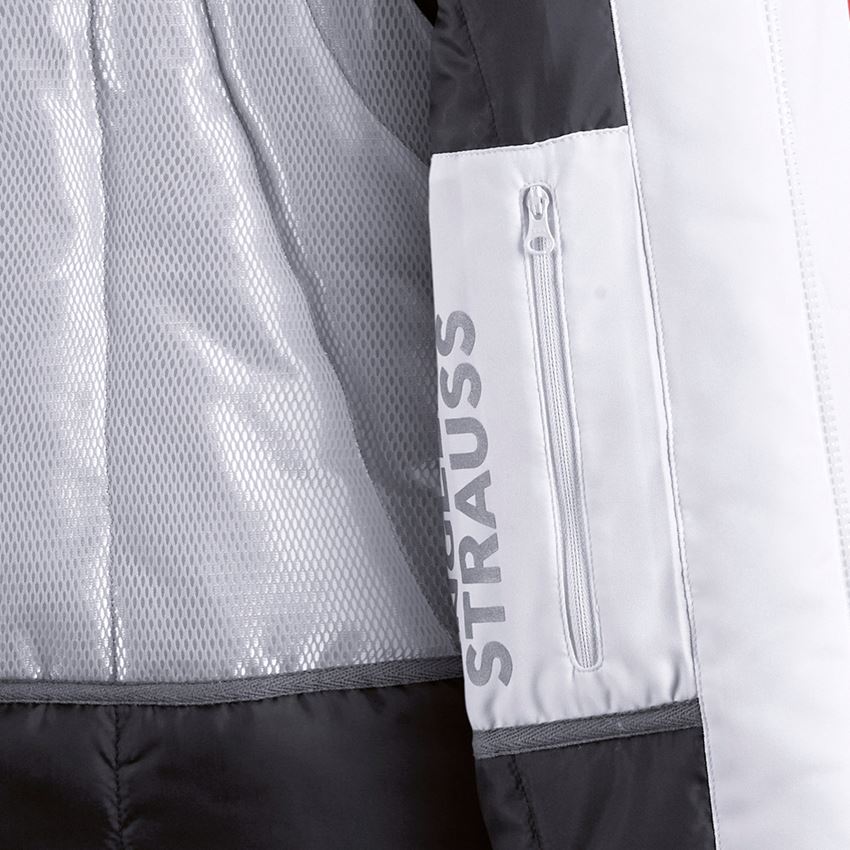 Froid: Gilet Softshell e.s.motion + blanc/gris 2