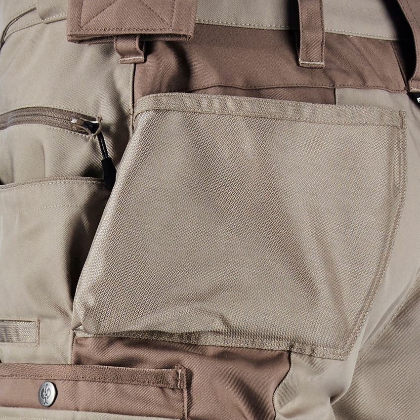 Work Trousers: Shorts e.s.motion + clay/peat 2