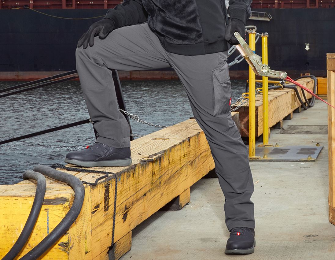 Themen: Funktions Cargohose e.s.dynashield solid + anthrazit