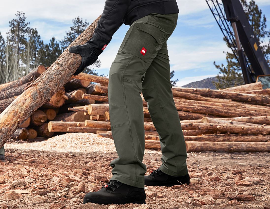 Pantalons de travail: Pantalon cargo fonctionnel e.s.dynashield solid + thym