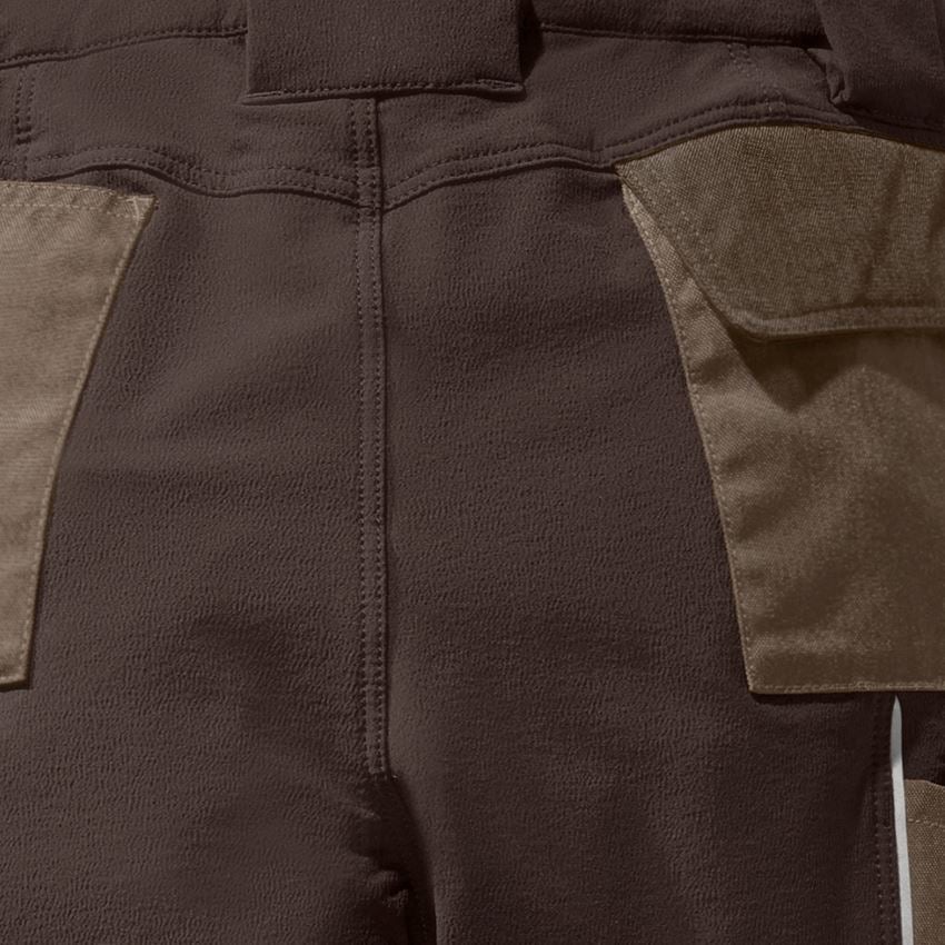 Pantalons de travail: Fonct. pantalon Cargo e.s.dynashield, femmes + noisette/marron 2