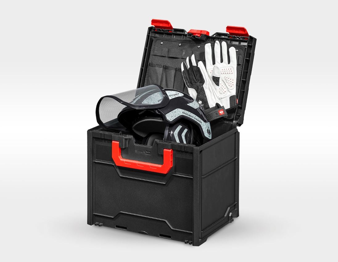 Arbeitsschutz: SET: Forsthelm Protos + STRAUSSbox 340 midi + schwarz/grau 4
